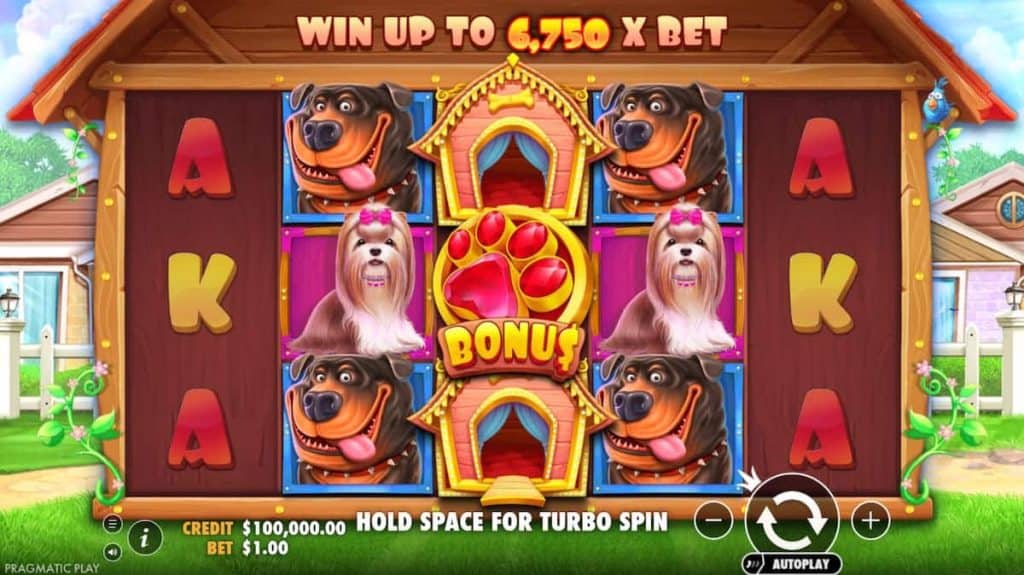 Keseruan Dunia Anjing Ceria Penuh Warna Dalam The Dog House