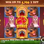 Keseruan Dunia Anjing Ceria Penuh Warna Dalam The Dog House