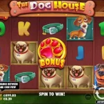 Dunia Ceria Anjing Lucu Penuh Kejutan Dalam The Dog House