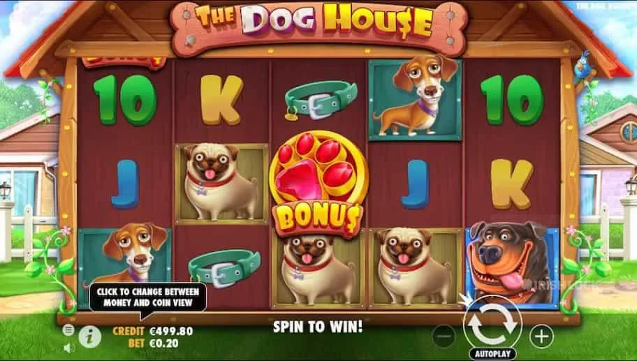 Dunia Ceria Anjing Lucu Penuh Kejutan Dalam The Dog House